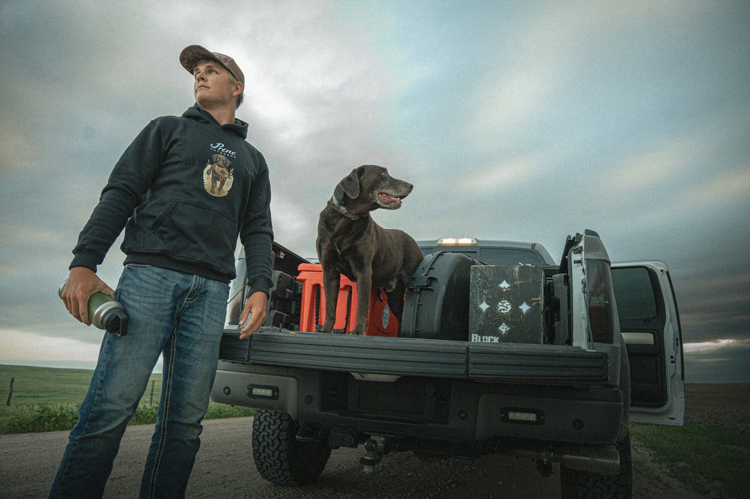 The Bird Dog Collection
