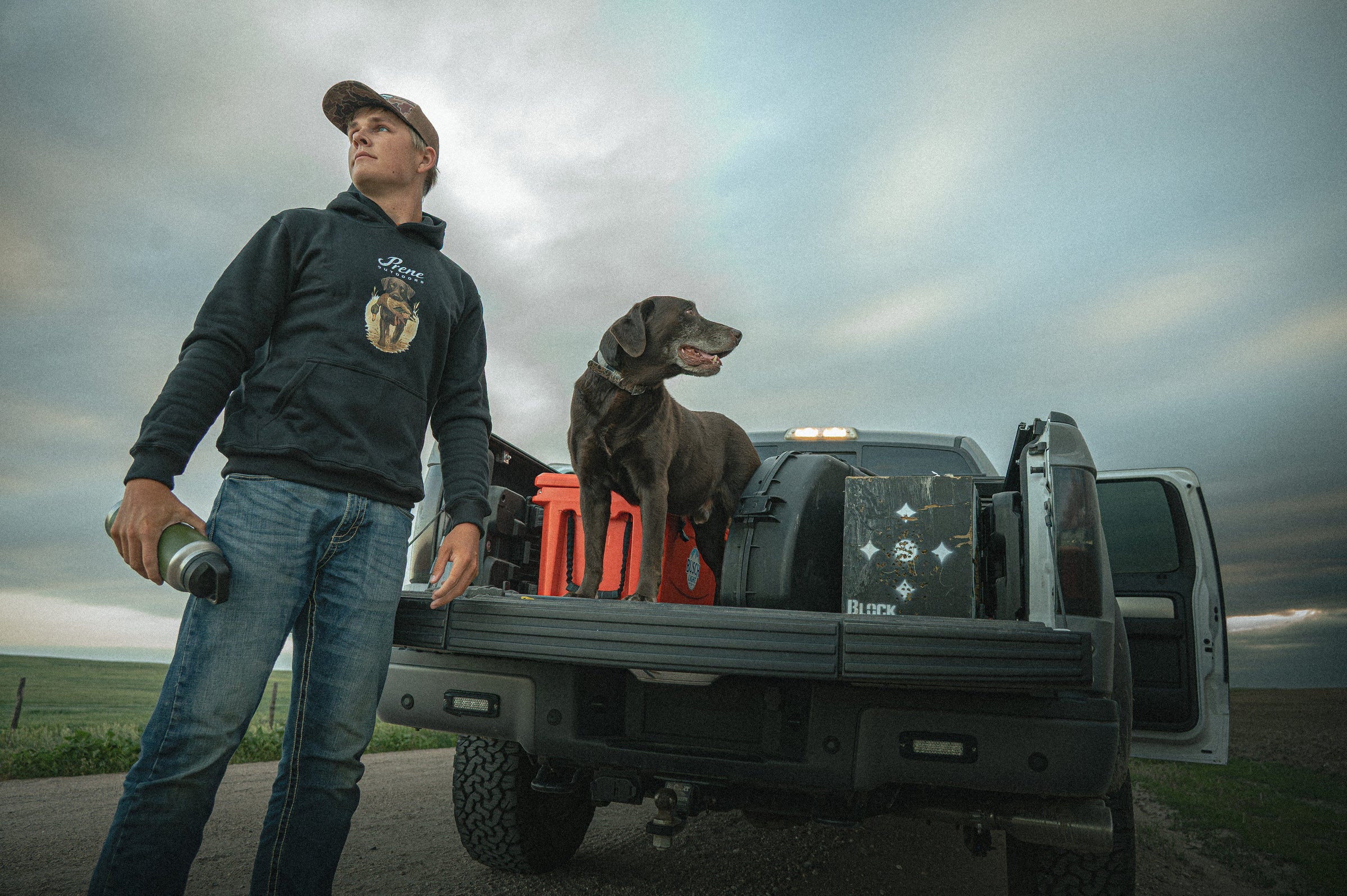 The Bird Dog Collection
