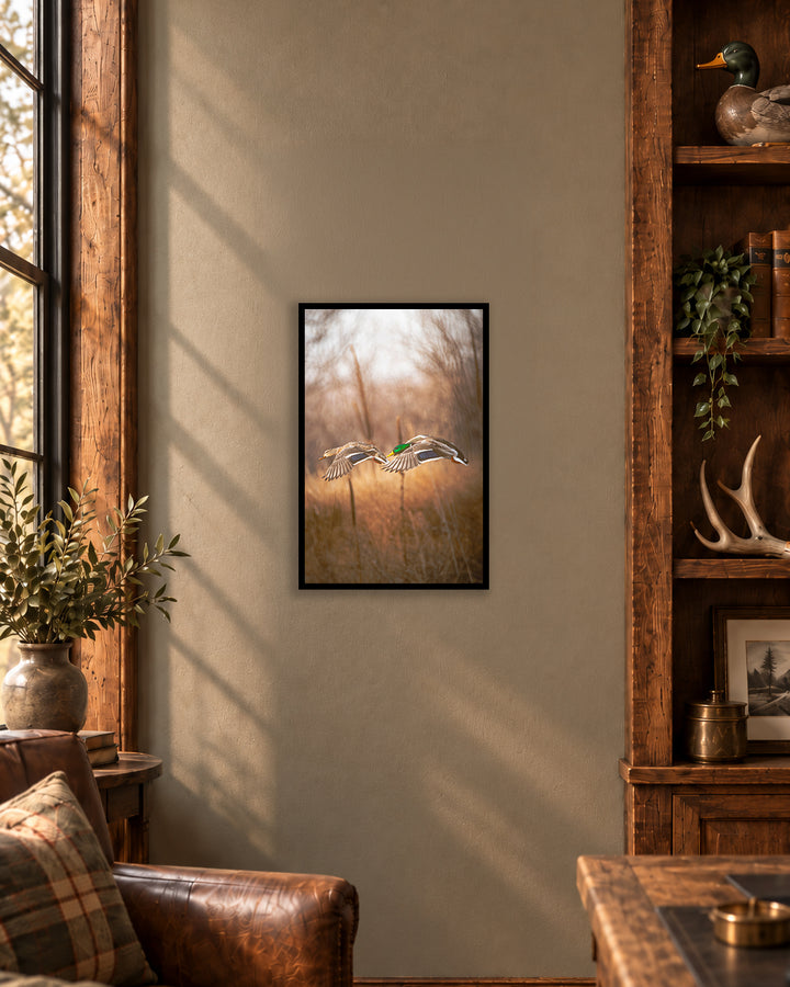 Final Approach - Mallard Pair 12 x 18 Framed Giclee Fine Art Print (Only 5 Available)