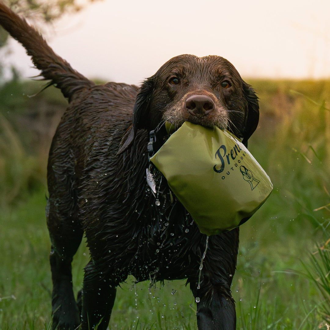 Dry-Bag Waterproof Shell Pouch
