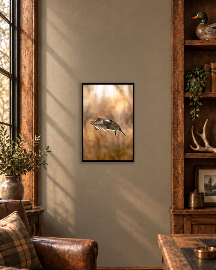 The Pinny - Pintail 12 x 18 Framed Giclee Fine Art Print (Only 5 Available)