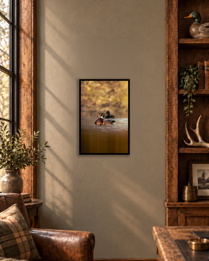 The Woody - Wood Duck 12 x 18 Framed Giclee Fine Art Print (Only 5 Available)